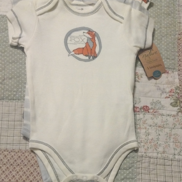 Fox Themed Organic Cotton White and Gray Baby 5 Pc Bodysuit Set - Picture 6 of 17